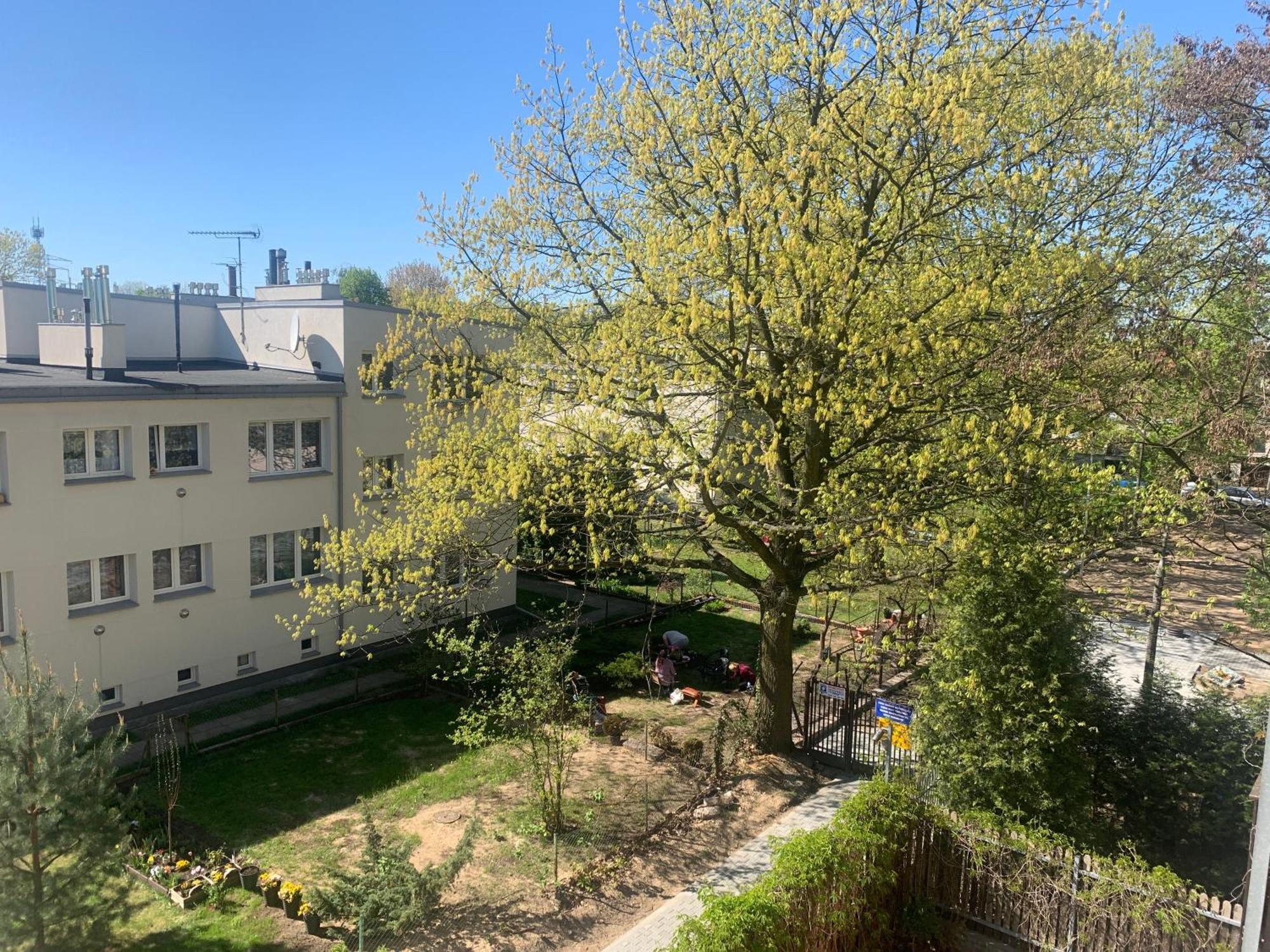 Apartment Samodzielne Wyposazone Mieszkanie